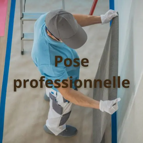 Pose professionnelle Pose professionnelle