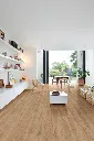 Sol_bureau_sunset_oak_632m_1_Renovsol.webp
