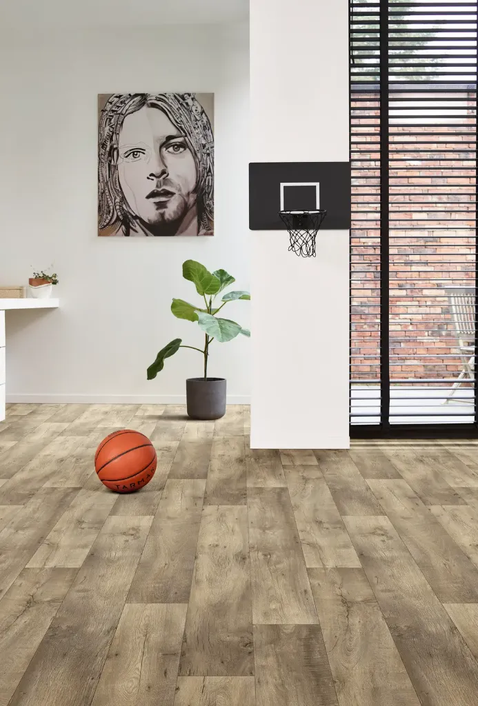 valley_oak_691m_1_renovsol.webp