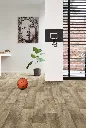 valley_oak_691m_1_renovsol.webp