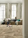 valley_oak_691m_renovsol.webp
